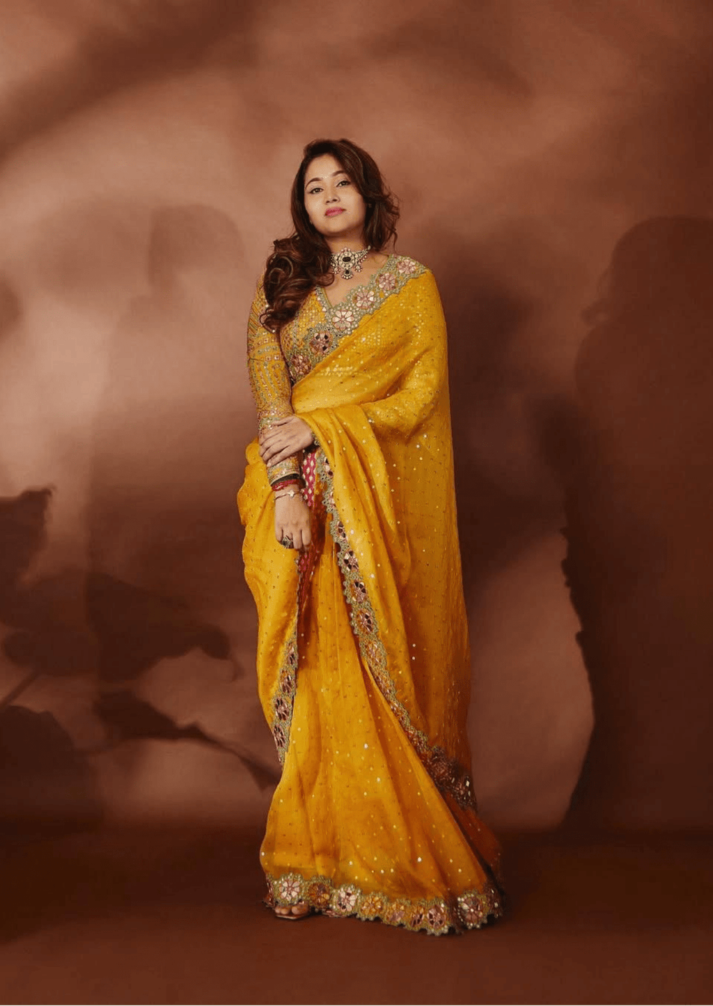 Meher Floral Border Mirror Work Saree